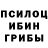 Псилоцибиновые грибы ЛСД Liza Jansone