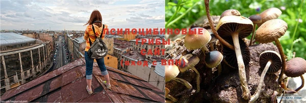 не бодяженный Горнозаводск