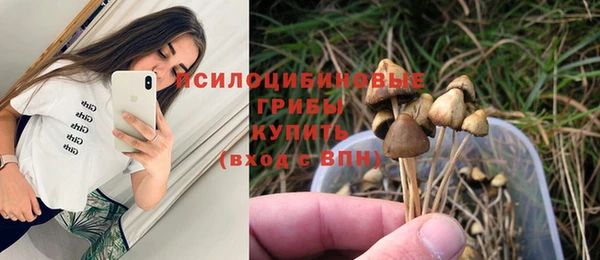 не бодяженный Горнозаводск