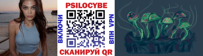 Псилоцибиновые грибы Psilocybine cubensis  Вологда 